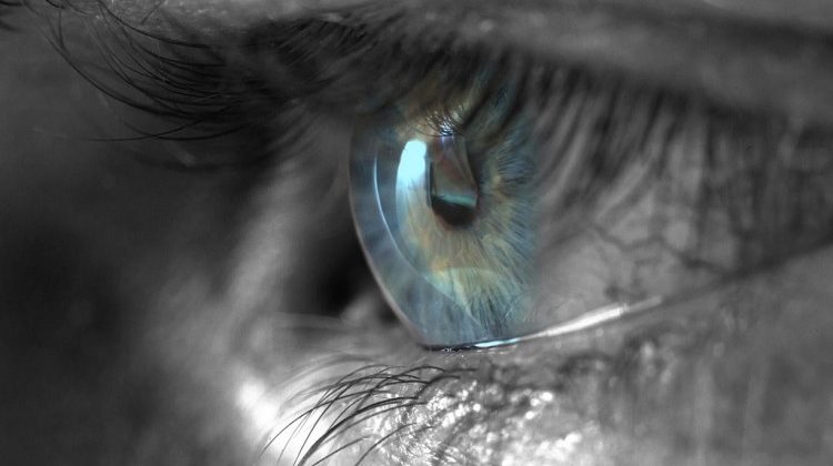 New Studies Show Human Brain Can Process A Picture Faster Than The Blink of an Eye.